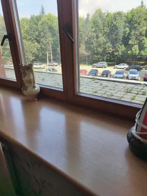 2-х комнатная квартира. — xl.webp