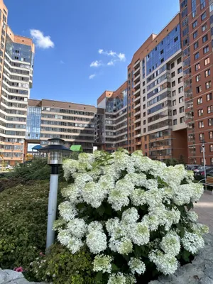 АПАРТАМЕНТЫ НА НАБЕРЕЖНОЙ — sm.webp