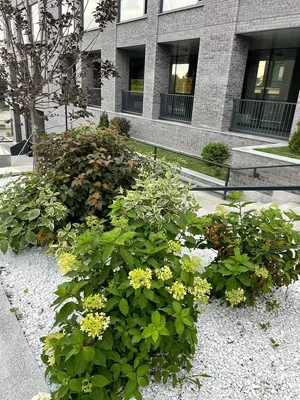 АПАРТАМЕНТЫ НА НАБЕРЕЖНОЙ — sm.webp