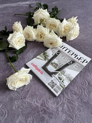 АПАРТАМЕНТЫ НА НАБЕРЕЖНОЙ — xl.webp