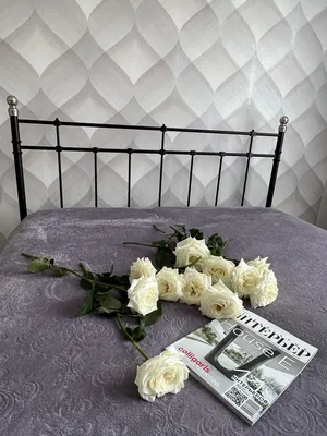 АПАРТАМЕНТЫ НА НАБЕРЕЖНОЙ — xl.webp