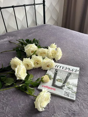 АПАРТАМЕНТЫ НА НАБЕРЕЖНОЙ — sm.webp