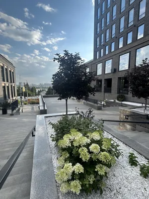 АПАРТАМЕНТЫ НА НАБЕРЕЖНОЙ — sm.webp