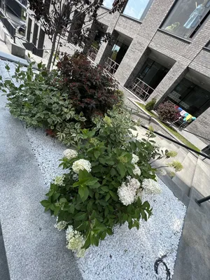 АПАРТАМЕНТЫ НА НАБЕРЕЖНОЙ — sm.webp