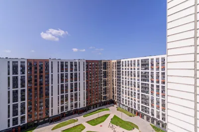 Уютная студия рядом с аэропортом Шереметьево! — sm.webp