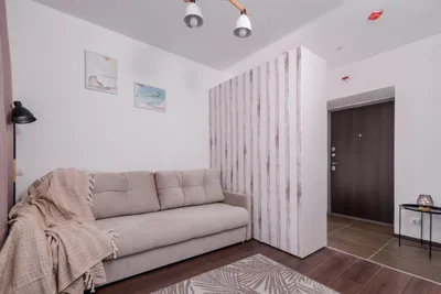 Уютная студия рядом с аэропортом Шереметьево! — sm.webp