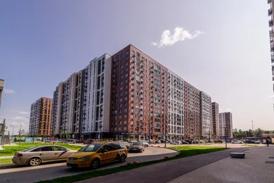 Уютная студия рядом с аэропортом Шереметьево! — sm.webp