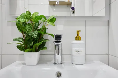 Студия в 10 минутах от парка Краснодар — sm.webp