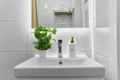 Студия в 10 минутах от парка Краснодар — sm.webp