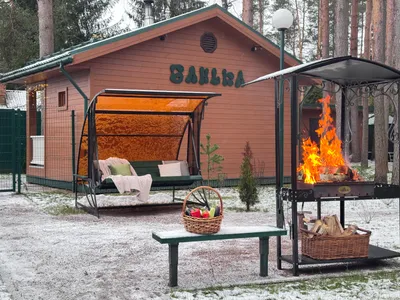 Дача Сосновка 2, Ленобласть, п.Вырица — xl.webp