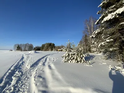 Дом № 40 — sm.webp