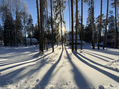 Дом № 40 — sm.webp