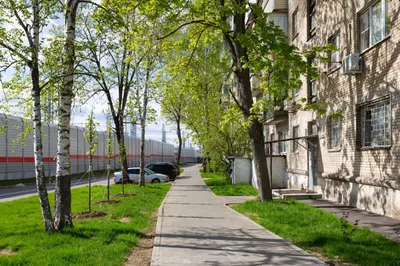 Kомфoртабeльнaя 1к квaртиpа "Милан" — sm.webp