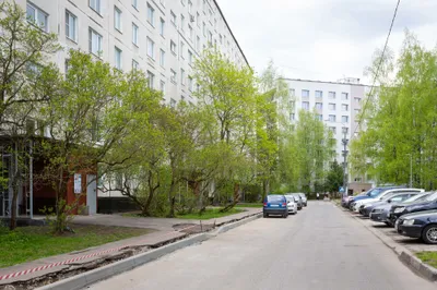 Life Apartments в центре у лесопарка — sm.webp