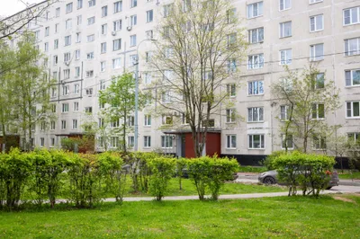 Life Apartments в центре у лесопарка — sm.webp