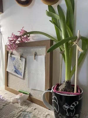 Яркая квартира — sm.webp