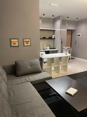 Студия в центре Академгородка и НГУ — sm.webp