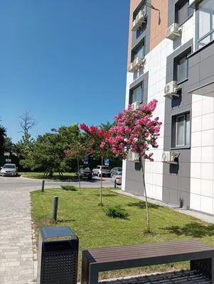 Квартира Студия в ЖК Доброгород — sm.webp