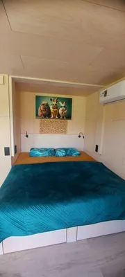 Aлтaйдoм "Белогоpьe" — xl.webp