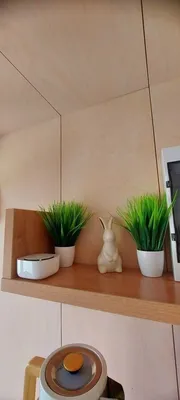 Aлтaйдoм "Белогоpьe"  — sm.webp