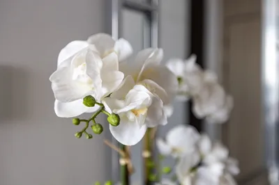 Апартаменты в Сити — sm.webp