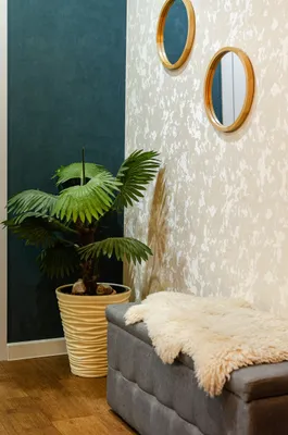 Уютная квартира — sm.webp