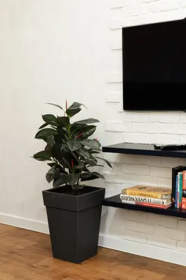 Уютная квартира — sm.webp