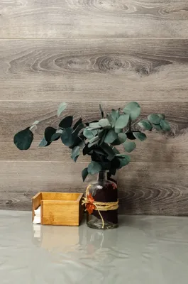 Уютная квартира — sm.webp