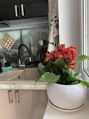 Уютная однушка в тихом районе — sm.webp