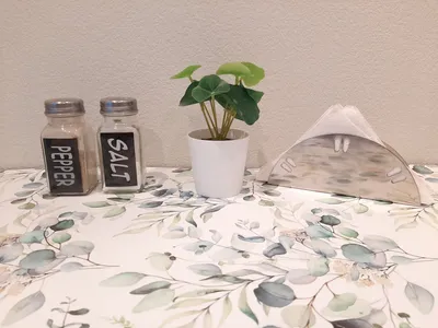 Квартира рядом с источником и аквапарком — sm.webp