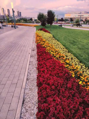 Просторная однушка у Крокуса — sm.webp