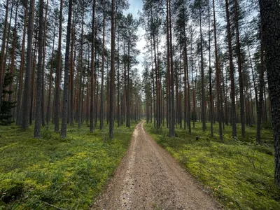 Коттедж в "Светлое Village" — sm.webp