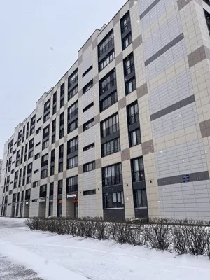 Квартира в Центре Питера — xl.webp