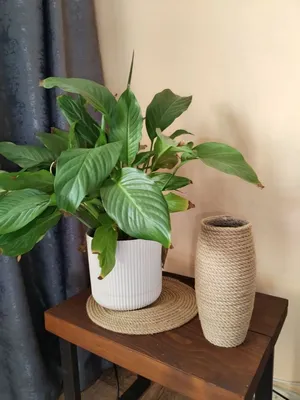 Комфортный дом — sm.webp