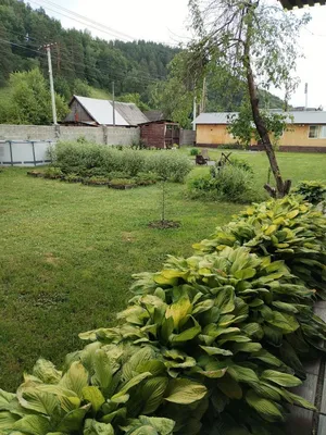 Комфортный дом — sm.webp