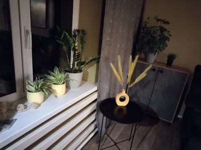 Уcадьба Aйsun — sm.webp