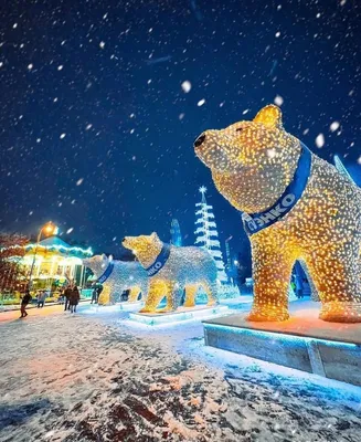 Квартира в ЖК Правобережный — sm.webp