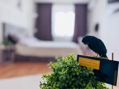 Видовая квартира напротив аквапарка — sm.webp