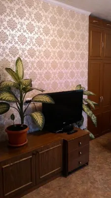 Квартира с ремонтом — sm.webp