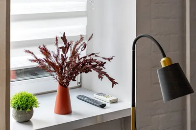 Квартира у Зоопарка — sm.webp