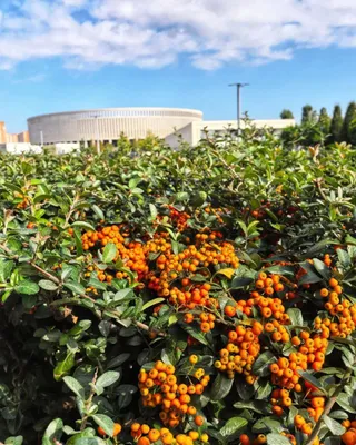 Краснодар, Восточно-Кругликовская ул., 30/1 — sm.webp