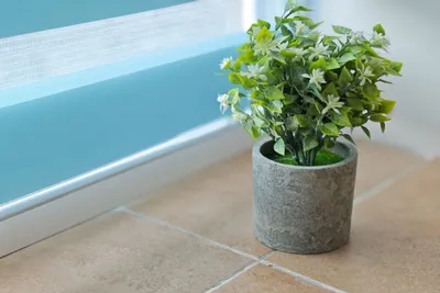 Студия 34 — sm.webp