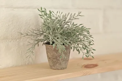 Студия 33 — sm.webp