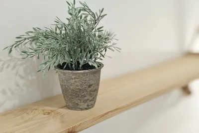 Студия 31 — sm.webp