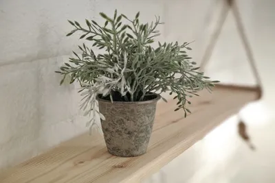 Студия 13 — sm.webp