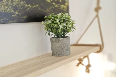 Студия 44 — sm.webp