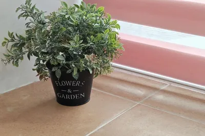 Студия 44 — sm.webp