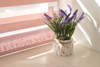 Студия 22 — sm.webp