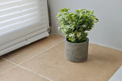 Студия 41 — sm.webp