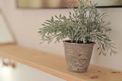 Студия 25 — sm.webp